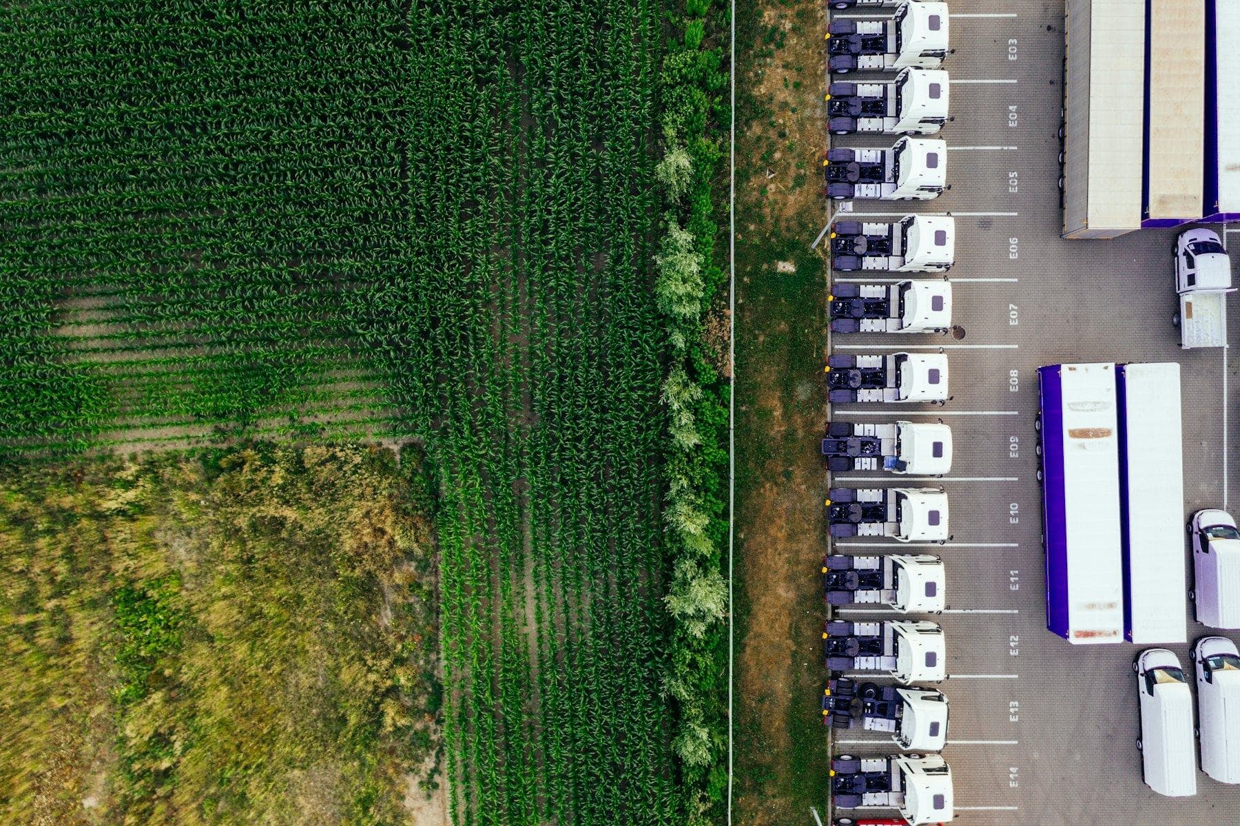 LKW-Verkehr, Symbolbild für Fahrer-Recruiting in Hannover