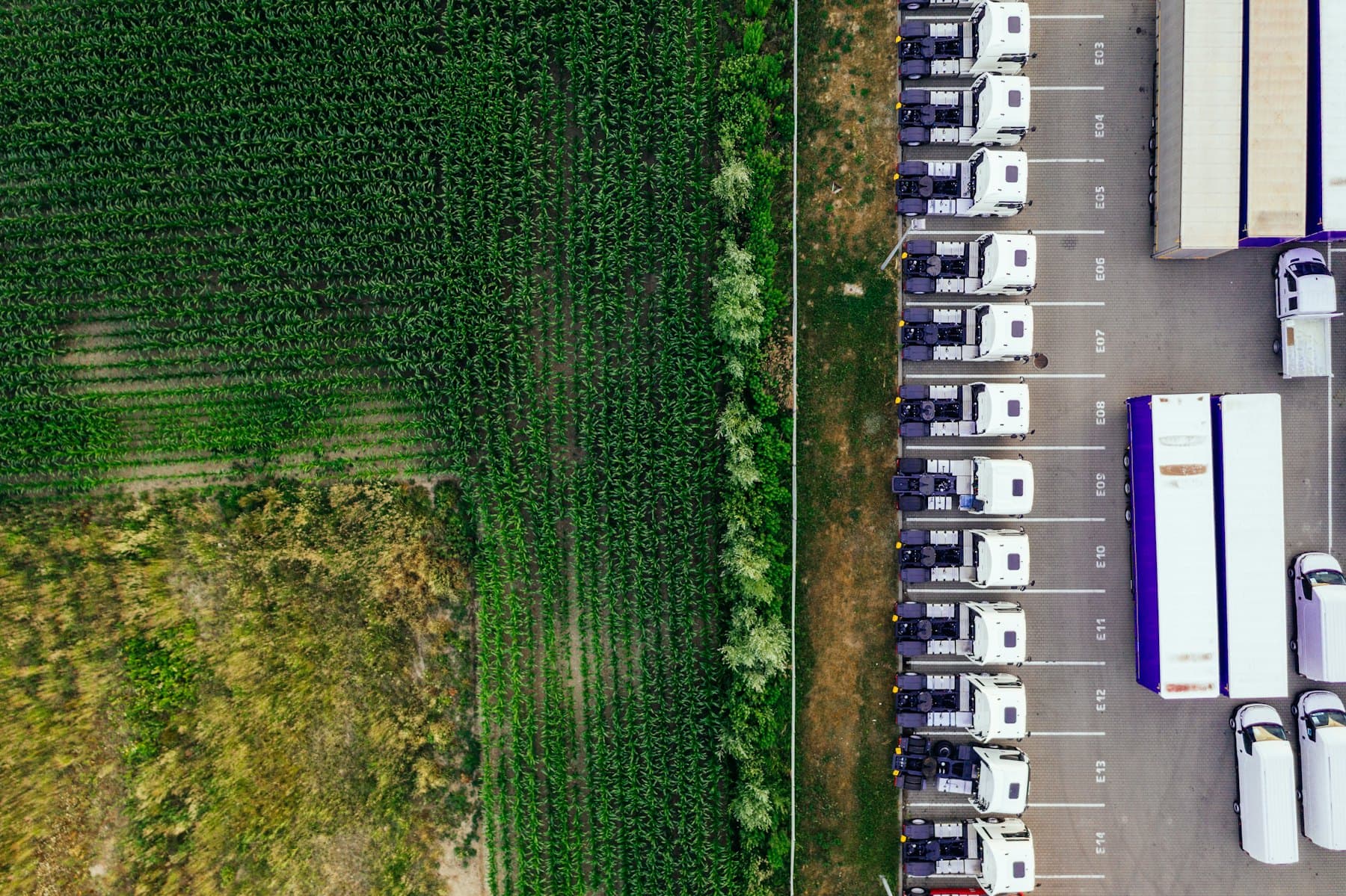 LKW-Verkehr, Symbolbild für Fahrer-Recruiting in Niedersachsen